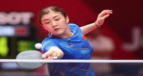 外线防守轮 外线防守轮