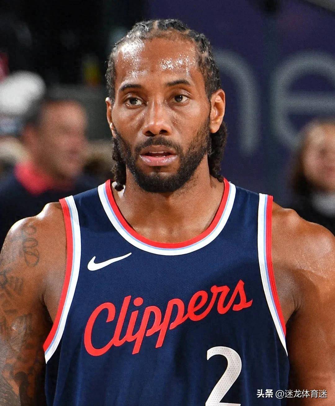 我们将直上 我们将直上